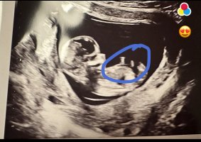 IMG_6132.jpeg IMG_6132.jpeg