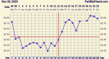 Screenshot_20231223_070745_FF App.jpg