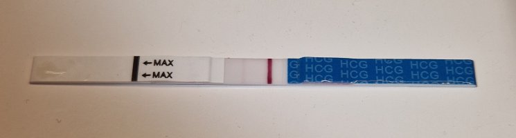 20231227_094652.jpg 20231227_094652.jpg