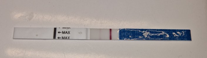 20231227_133532.jpg 20231227_133532.jpg