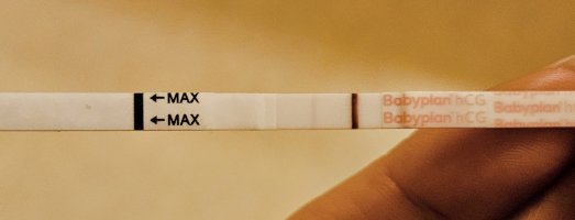 1000002318.jpg 1000002318.jpg