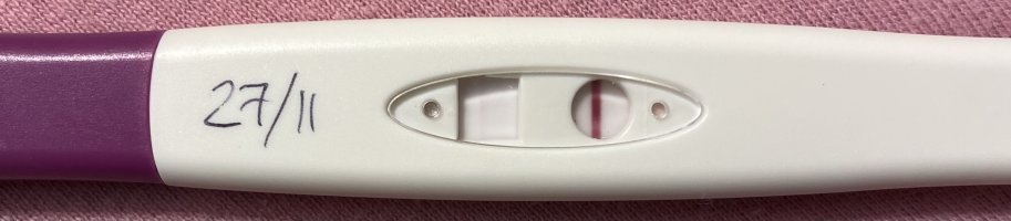 IMG_2156.jpeg IMG_2156.jpeg