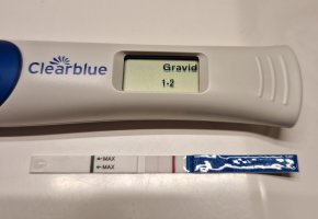 20231228_091507.jpg 20231228_091507.jpg