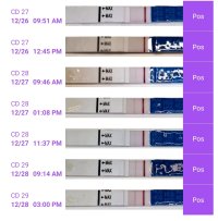 Screenshot_20231228_150530.jpg Screenshot_20231228_150530.jpg