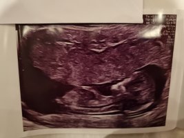 20231228_222426.jpg 20231228_222426.jpg