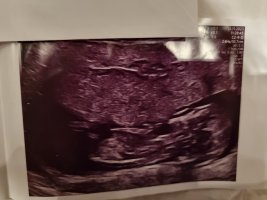 20231228_222410.jpg 20231228_222410.jpg