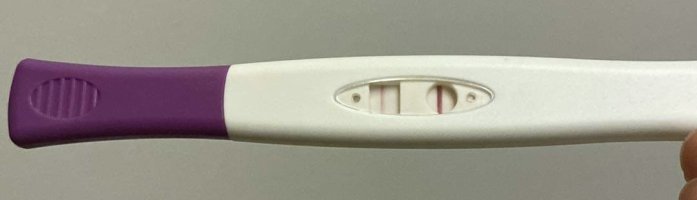 IMG_2170.jpeg IMG_2170.jpeg