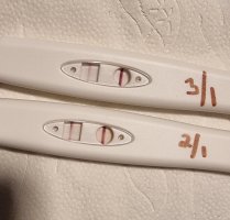 20240103_211636.jpg 20240103_211636.jpg