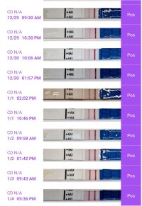 Screenshot_20240104-180904_Premom.jpg Screenshot_20240104-180904_Premom.jpg