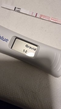 20240105_161338.jpg 20240105_161338.jpg