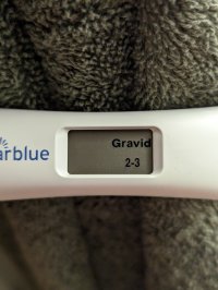 1000001516.jpg 1000001516.jpg