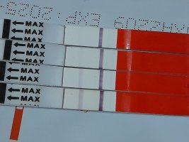 20240105_224949.jpg 20240105_224949.jpg