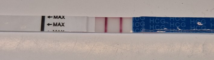 20240106_101414.jpg 20240106_101414.jpg