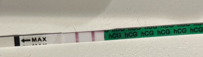 IMG_8072.jpeg IMG_8072.jpeg