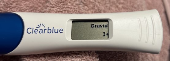 IMG_8079.jpeg IMG_8079.jpeg