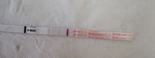 IMG_20240106_124410_edit_97835342446008.jpg IMG_20240106_124410_edit_97835342446008.jpg