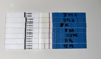 IMG_3265.jpeg IMG_3265.jpeg