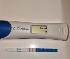 20240107_101809.jpg 20240107_101809.jpg