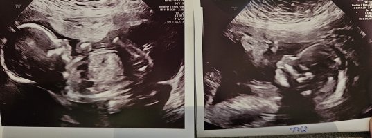 20240105_105422.jpg 20240105_105422.jpg