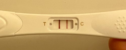 IMG_2292.jpeg IMG_2292.jpeg