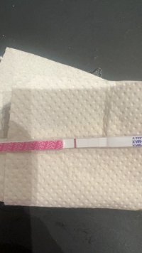 D017DA8C-63EC-48BC-979F-7E61D7B87D51.jpeg D017DA8C-63EC-48BC-979F-7E61D7B87D51.jpeg