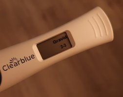 20240113_072220.jpg 20240113_072220.jpg