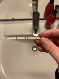 IMG_7743.jpeg IMG_7743.jpeg