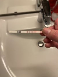 IMG_7762.jpeg IMG_7762.jpeg