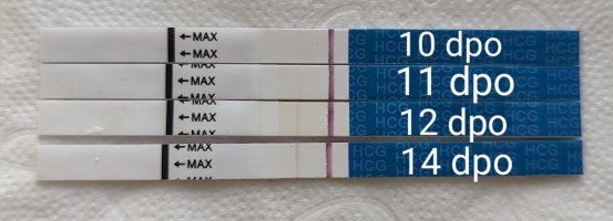 1000042872.jpg 1000042872.jpg