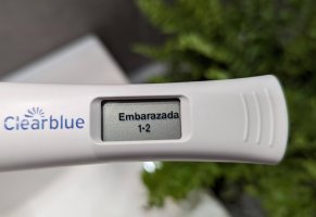 1000042854.jpg 1000042854.jpg