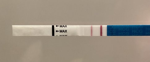 IMG_0367.jpeg IMG_0367.jpeg