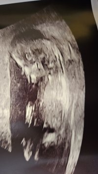 1000039430.jpg 1000039430.jpg