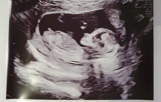 20240205_094358.jpg 20240205_094358.jpg