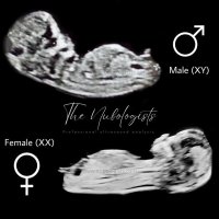 image0 (10).jpeg.jpg