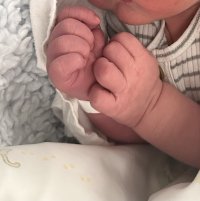 IMG_9875.jpeg IMG_9875.jpeg