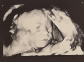 Messenger_creation_e97b33a6-2851-415a-ae56-e1a0131b0974.jpeg Messenger_creation_e97b33a6-2851-415a-ae56-e1a0131b0974.jpeg