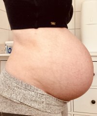 IMG_4408.jpeg IMG_4408.jpeg