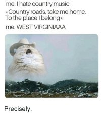 me-i-hate-country-music-country-roads-take-me-home-to-the.jpg
