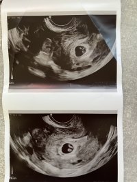 IMG_3828.jpeg IMG_3828.jpeg