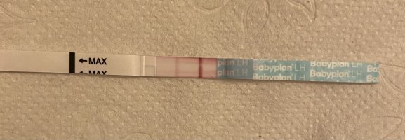 IMG_4756.jpeg IMG_4756.jpeg