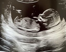 IMG_4610.jpeg IMG_4610.jpeg