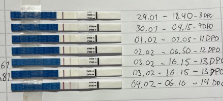 IMG_5988.jpeg IMG_5988.jpeg