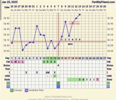 Screenshot_20250213_125825_FF App.jpg