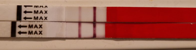 1000020659.jpg 1000020659.jpg