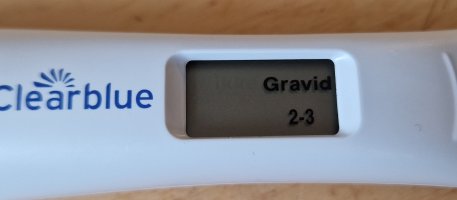 1000020678.jpg 1000020678.jpg