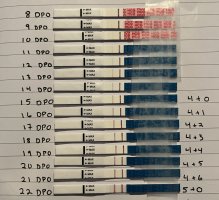 IMG_2327.jpeg IMG_2327.jpeg