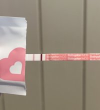 IMG_6435.jpeg IMG_6435.jpeg