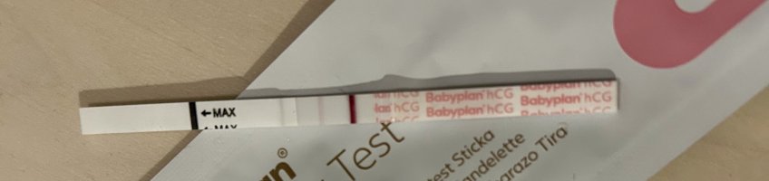 IMG_9702.jpeg IMG_9702.jpeg