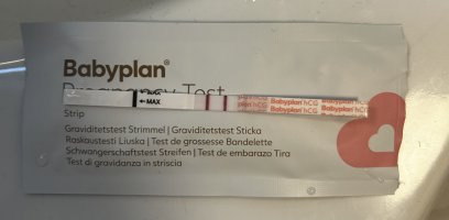 IMG_1558.jpeg IMG_1558.jpeg