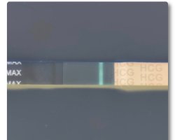 Screenshot_20250316-112518_FF App.jpg